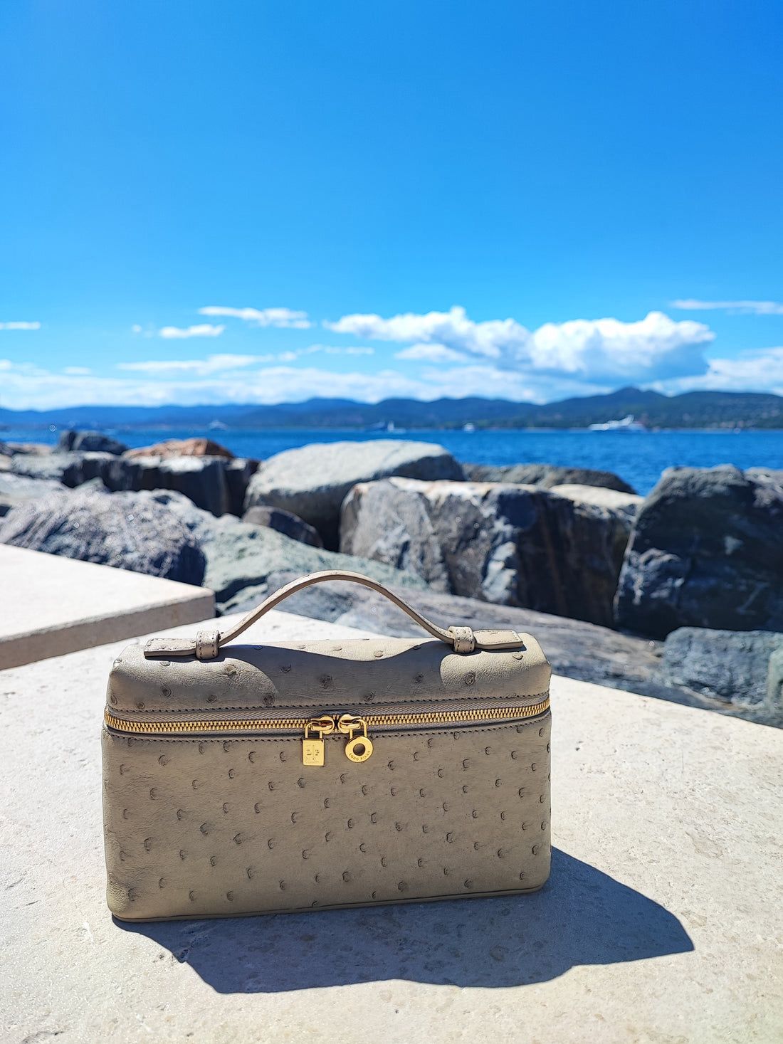 LORO PIANA RESTOCK – Extra Pocket L19 Women Bag (Ostrich Leather) (Beige)